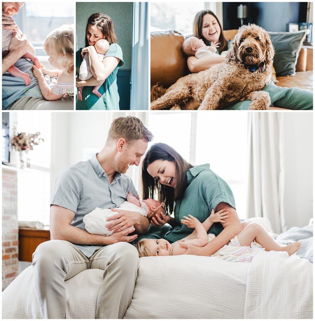 pictures of a newborn session at home that include the family's dog